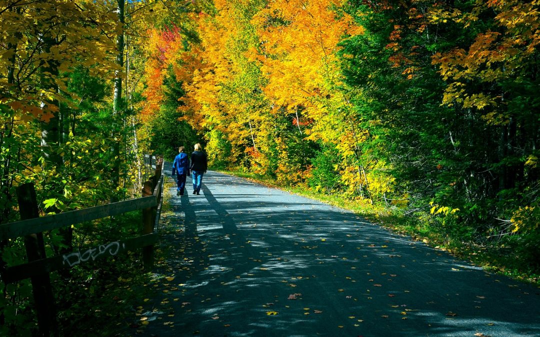 Retrouver la mobilité et la liberté de mouvement à Bayeux